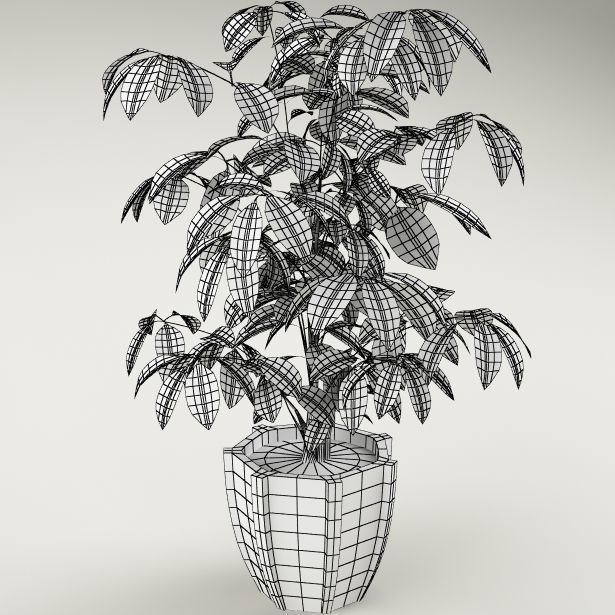 Plants Collection Vol 4 3D model_10