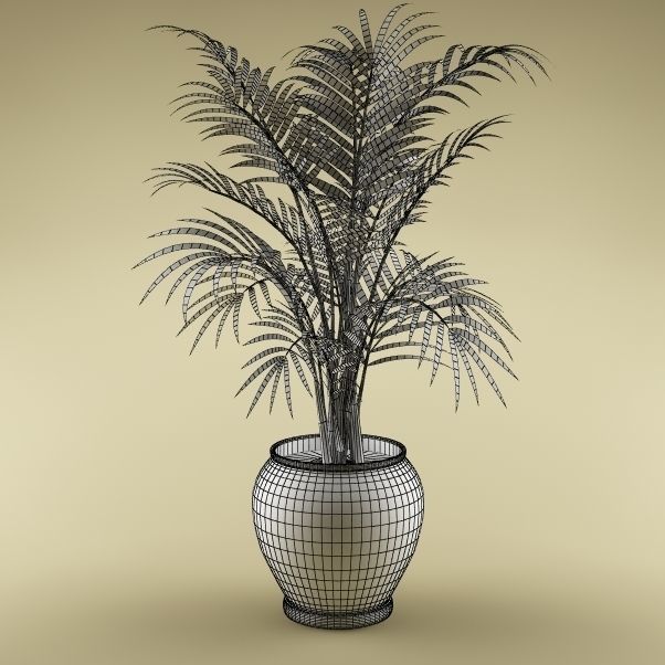Plants Collection Vol 4 3D model_18