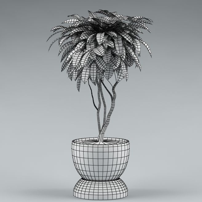 Plants Collection Vol 4 3D model_4