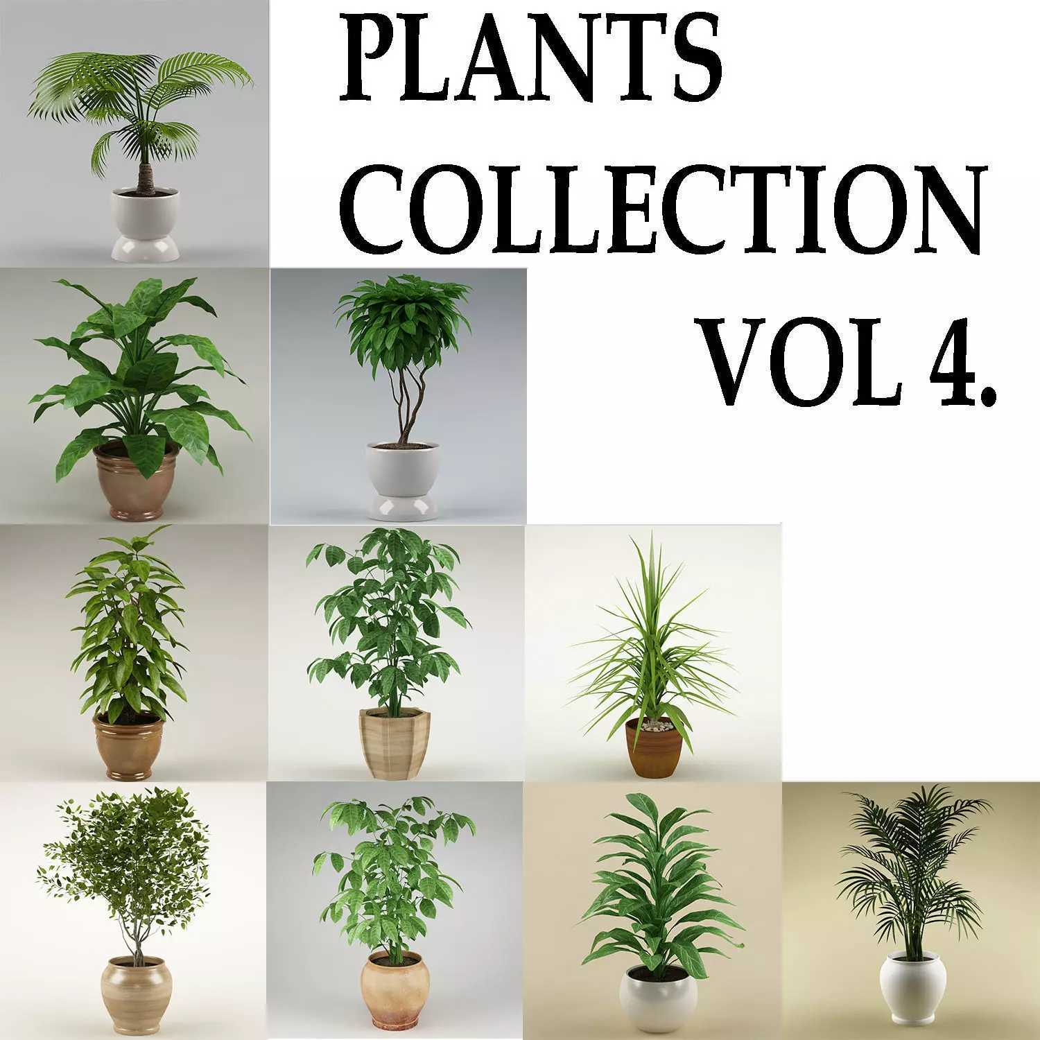 Plants Collection Vol 4 3D model_0