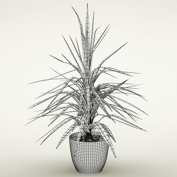 Plants Collection Vol 4 3D model_8