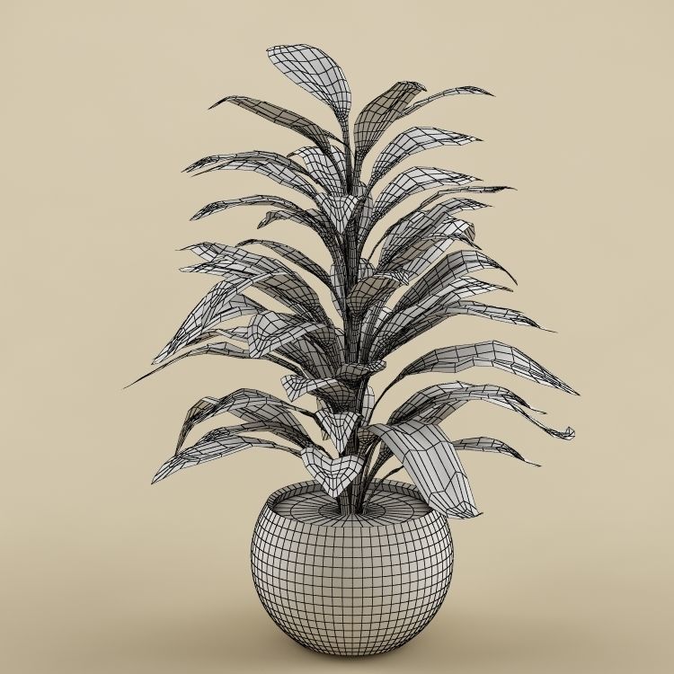 Plants Collection Vol 4 3D model_16