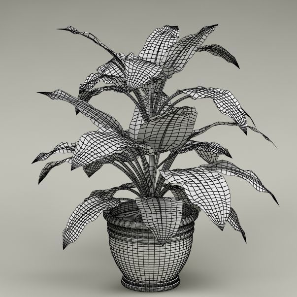 Plants Collection Vol 4 3D model_6