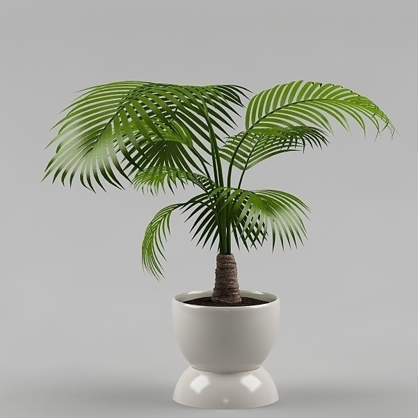 Plants Collection Vol 4 3D model_1