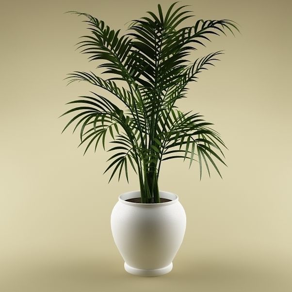Plants Collection Vol 4 3D model_17