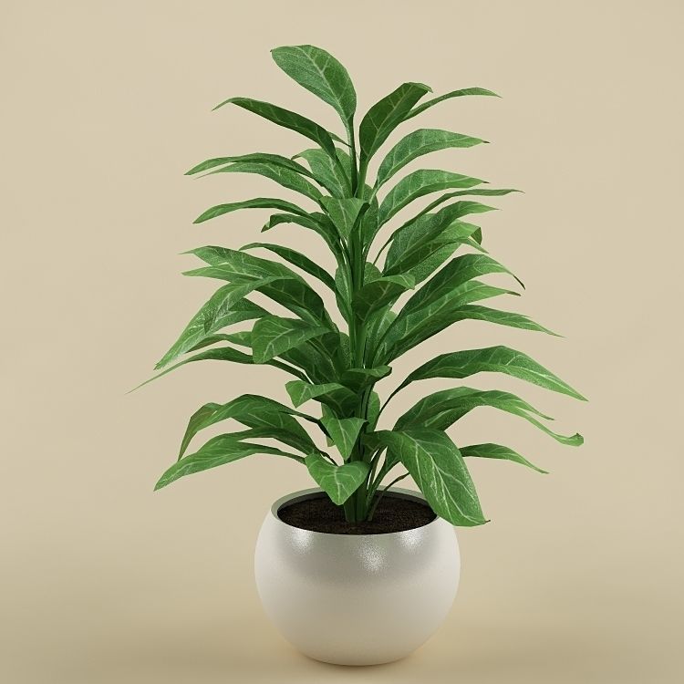 Plants Collection Vol 4 3D model_15