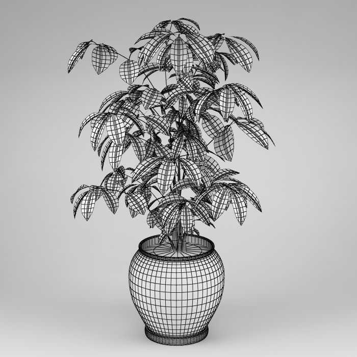 Plants Collection Vol 4 3D model_14