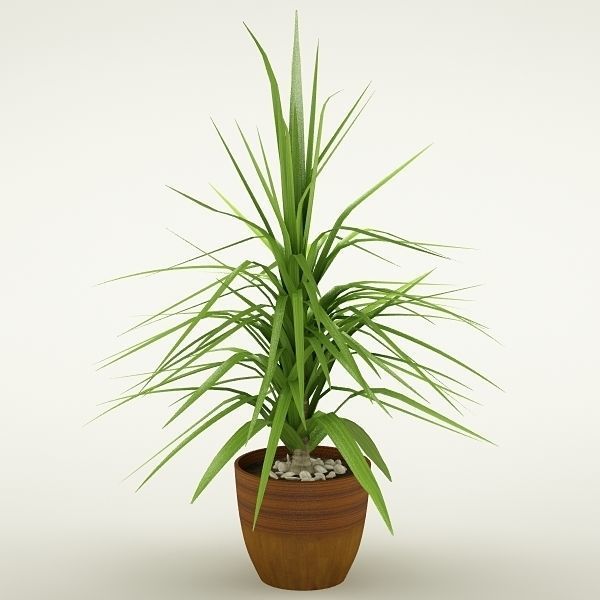 Plants Collection Vol 4 3D model_7