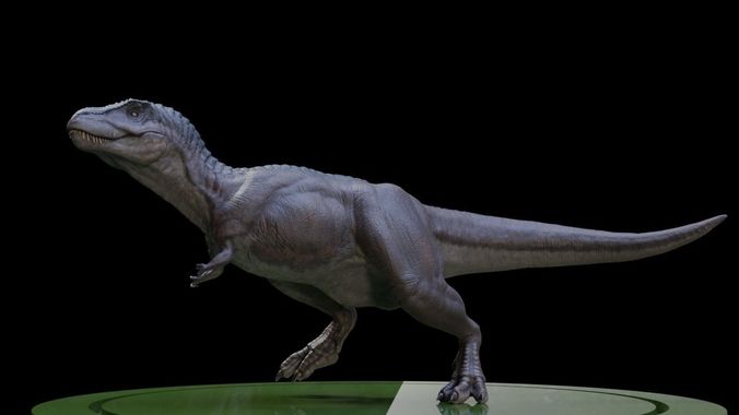 3D Tyrano t - rex dinosaur Low-poly 3D model