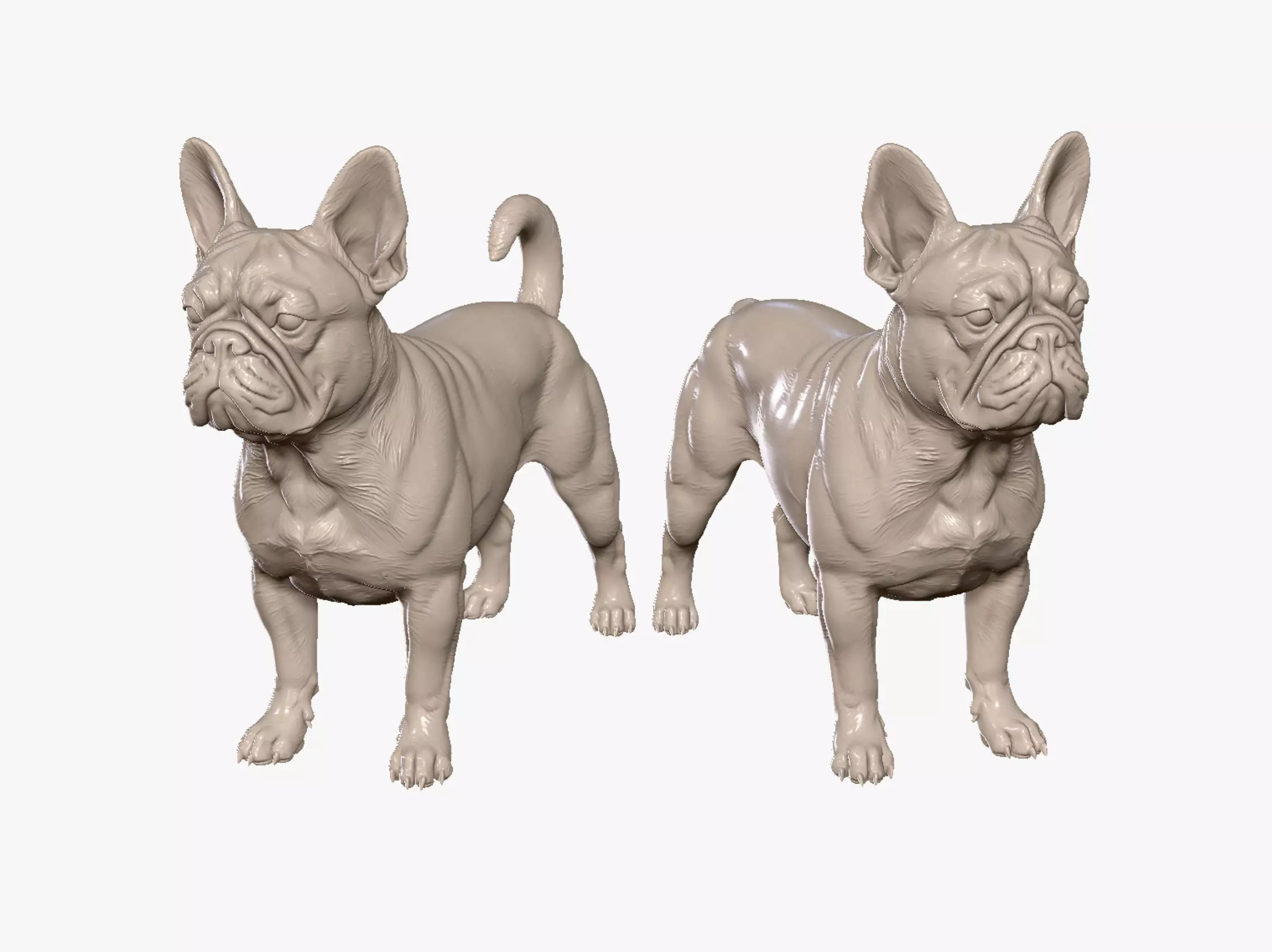 French Bulldog for 3D Printing with and without tail 3D print model