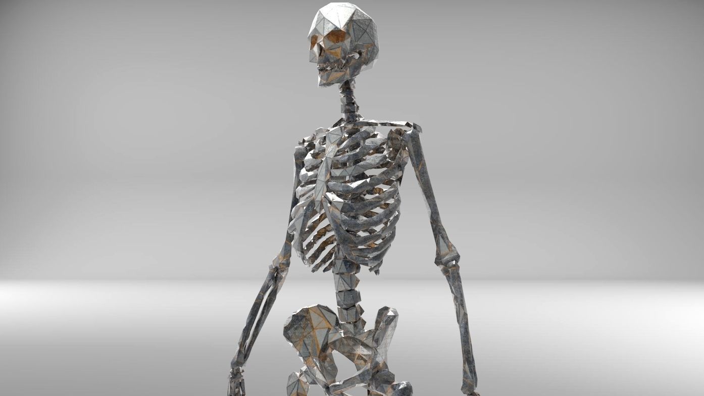 Low poly skeleton human Low-poly 3D model_5