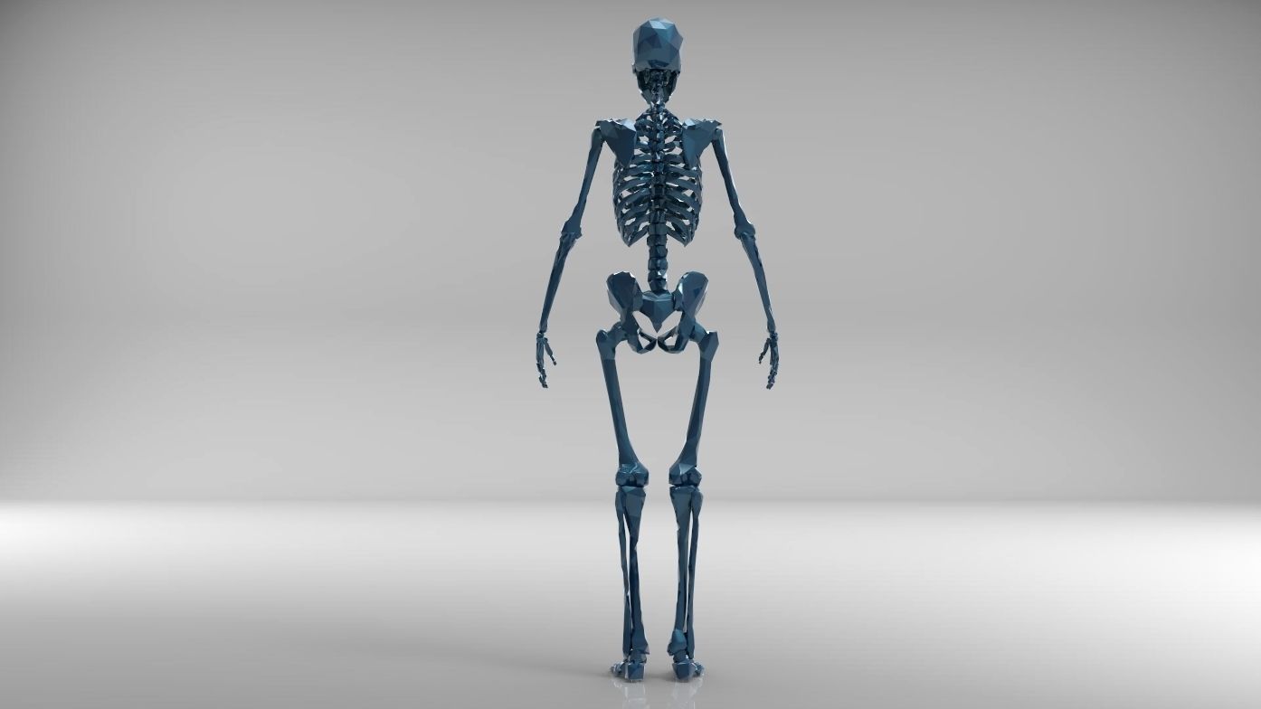 Low poly skeleton human Low-poly 3D model_12