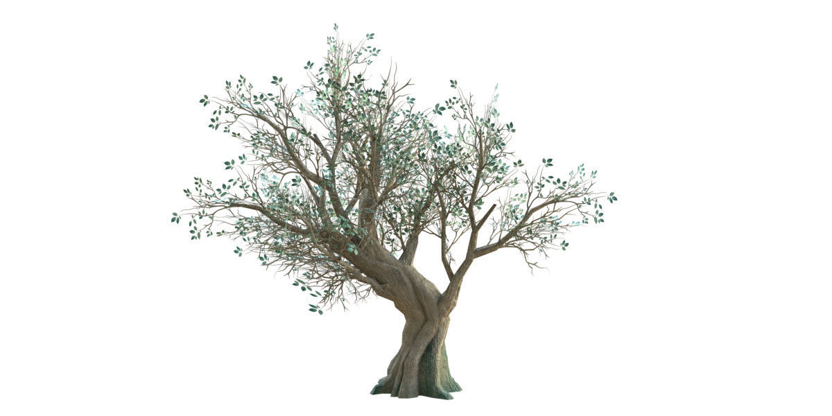 Low Poly Ashes Tree Low-poly 3D model_1