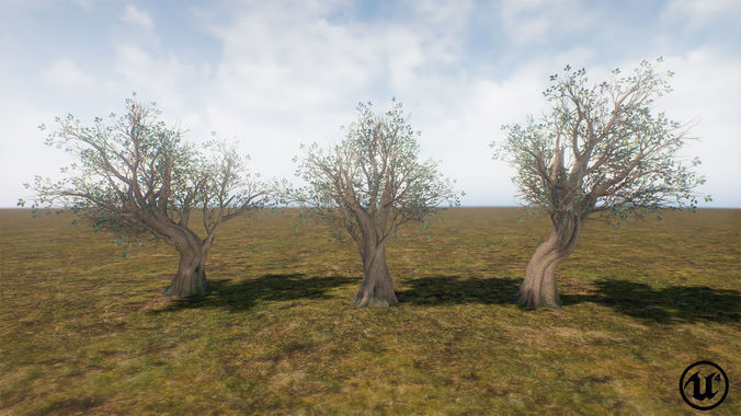 Low Poly Ashes Tree Low-poly 3D model