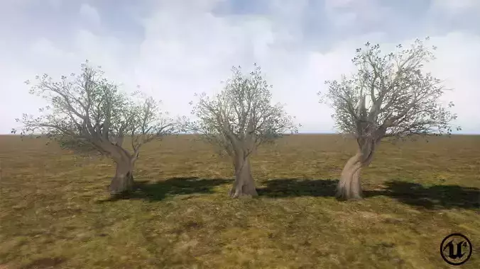 Low Poly Ashes Tree Low-poly 3D model