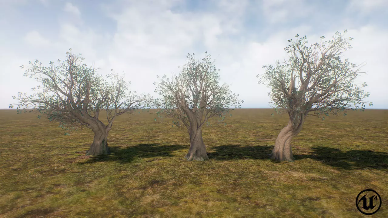 Low Poly Ashes Tree Low-poly 3D model_0