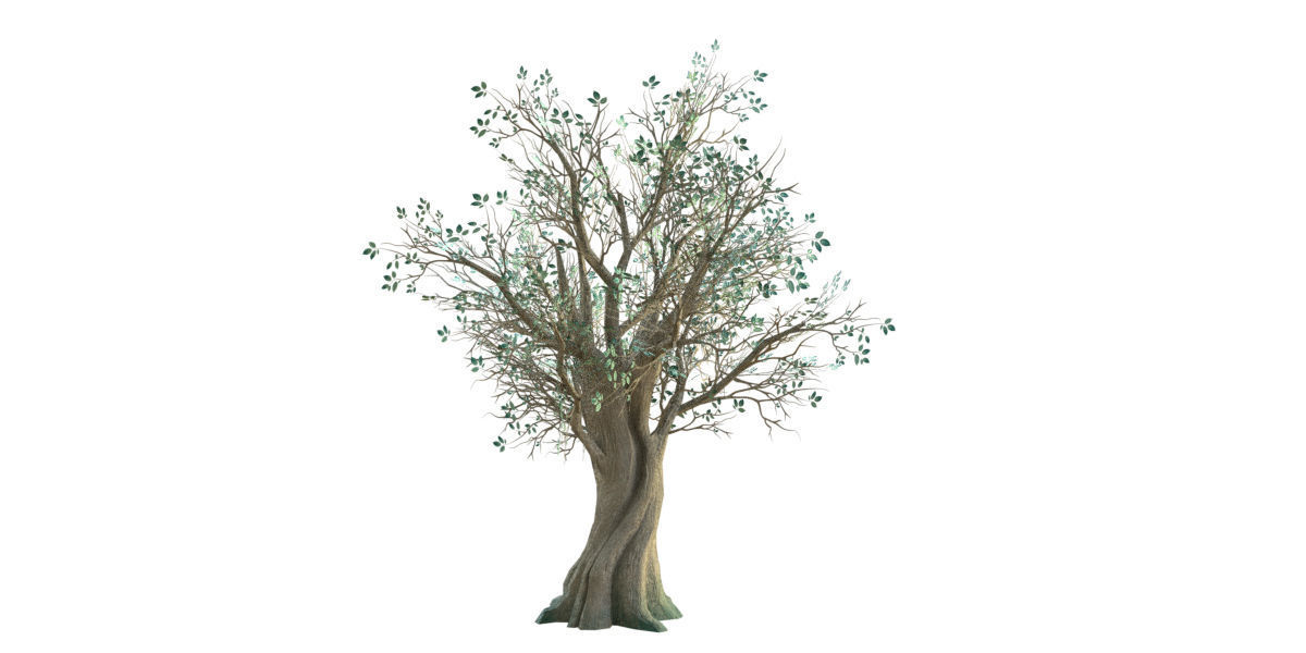 Low Poly Ashes Tree Low-poly 3D model_3