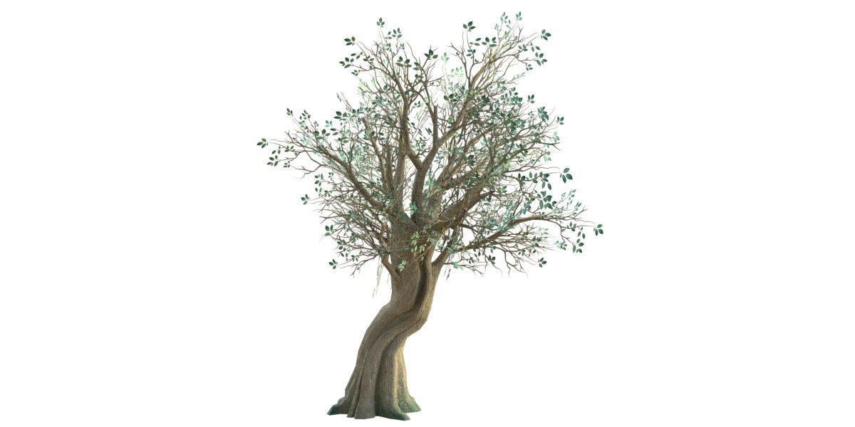 Low Poly Ashes Tree Low-poly 3D model_5