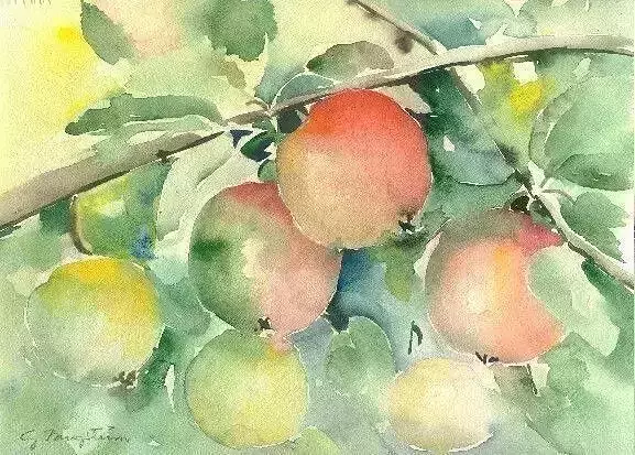 House watercolor painting of apples on branch