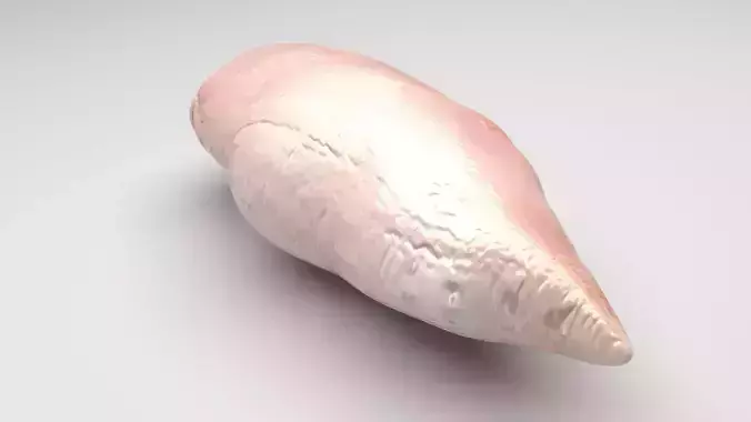 Chicken 3D model 6