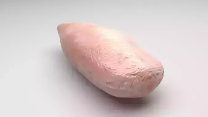 Chicken 3D model 3