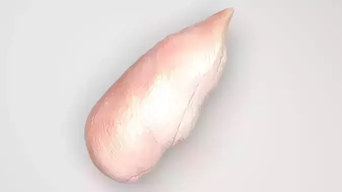 Chicken 3D model 4