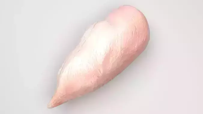 Chicken 3D model 2
