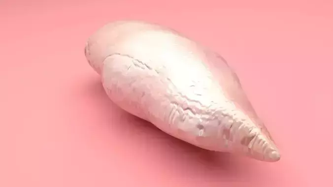Chicken 3D model 7