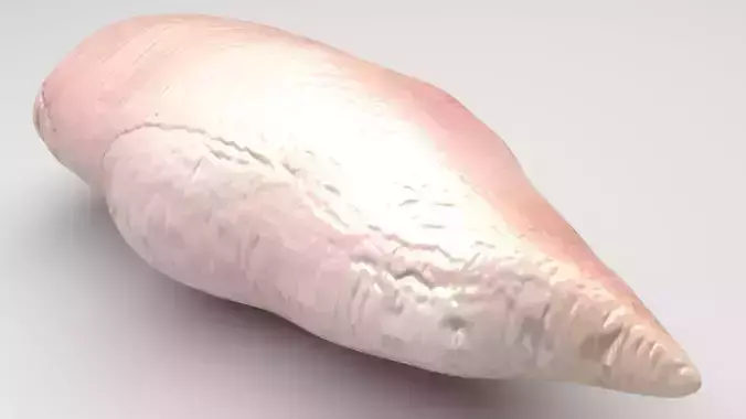 Chicken 3D model