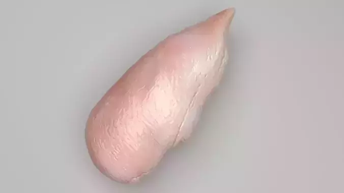 Chicken 3D model 5
