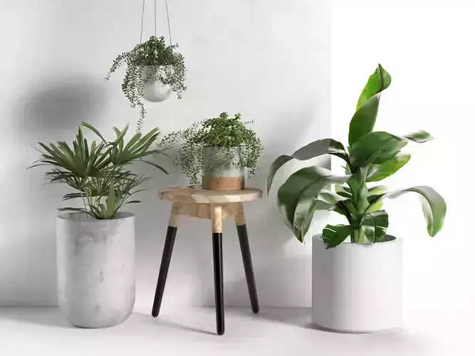 Stool and Pots with Plants 3D model