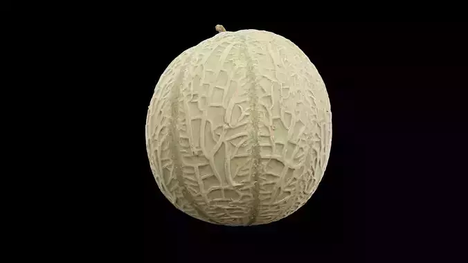 Melon Fruit 3D model 3