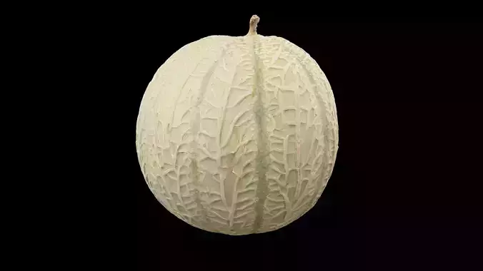 Melon Fruit 3D model