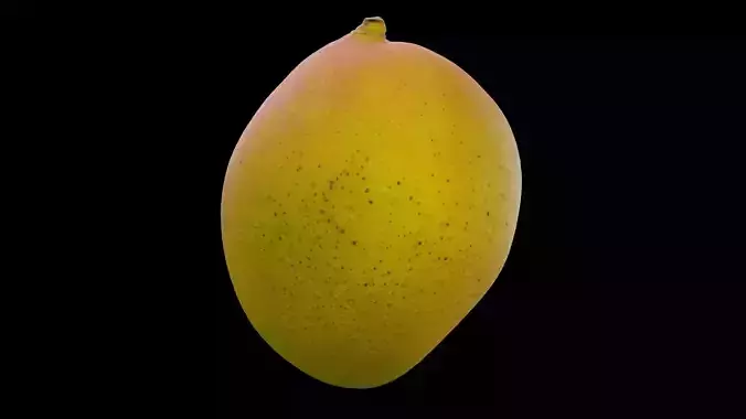 Mango Fruit 3D model 5
