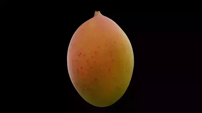 Mango Fruit 3D model 3