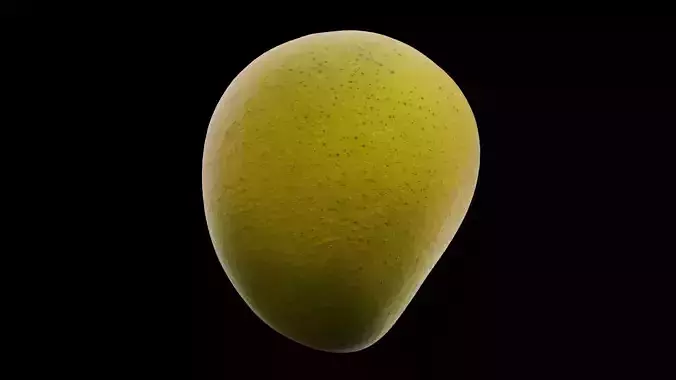 Mango Fruit 3D model 2