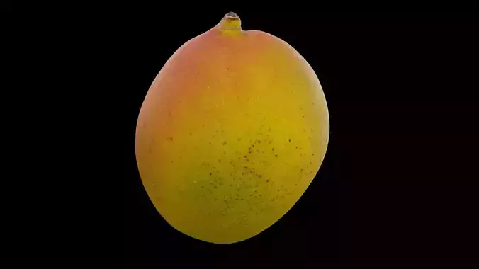 Mango Fruit 3D model 7