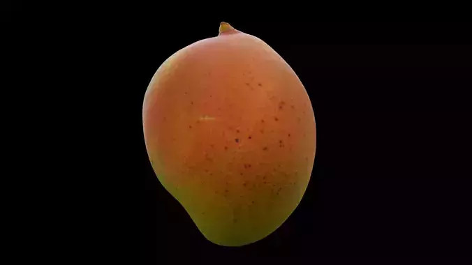 Mango Fruit 3D model