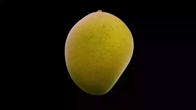 Mango Fruit 3D model 4