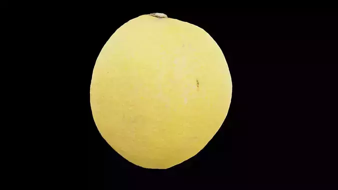 Lemon Fruit 3D model 7