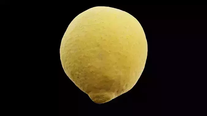 Lemon Fruit 3D model
