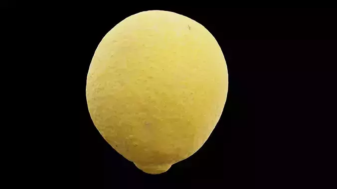 Lemon Fruit 3D model 3