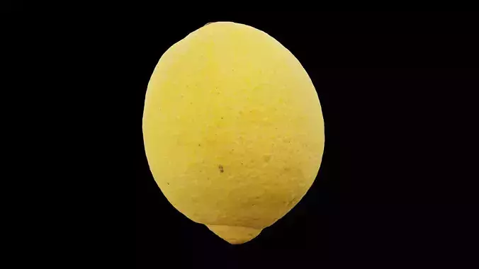 Lemon Fruit 3D model 4