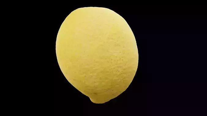 Lemon Fruit 3D model 2