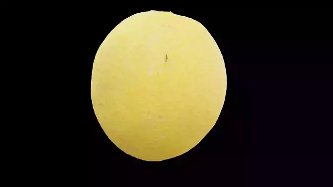 Lemon Fruit 3D model 5