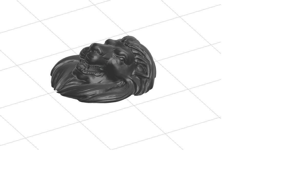 Realistic Lion head 3D print model_2