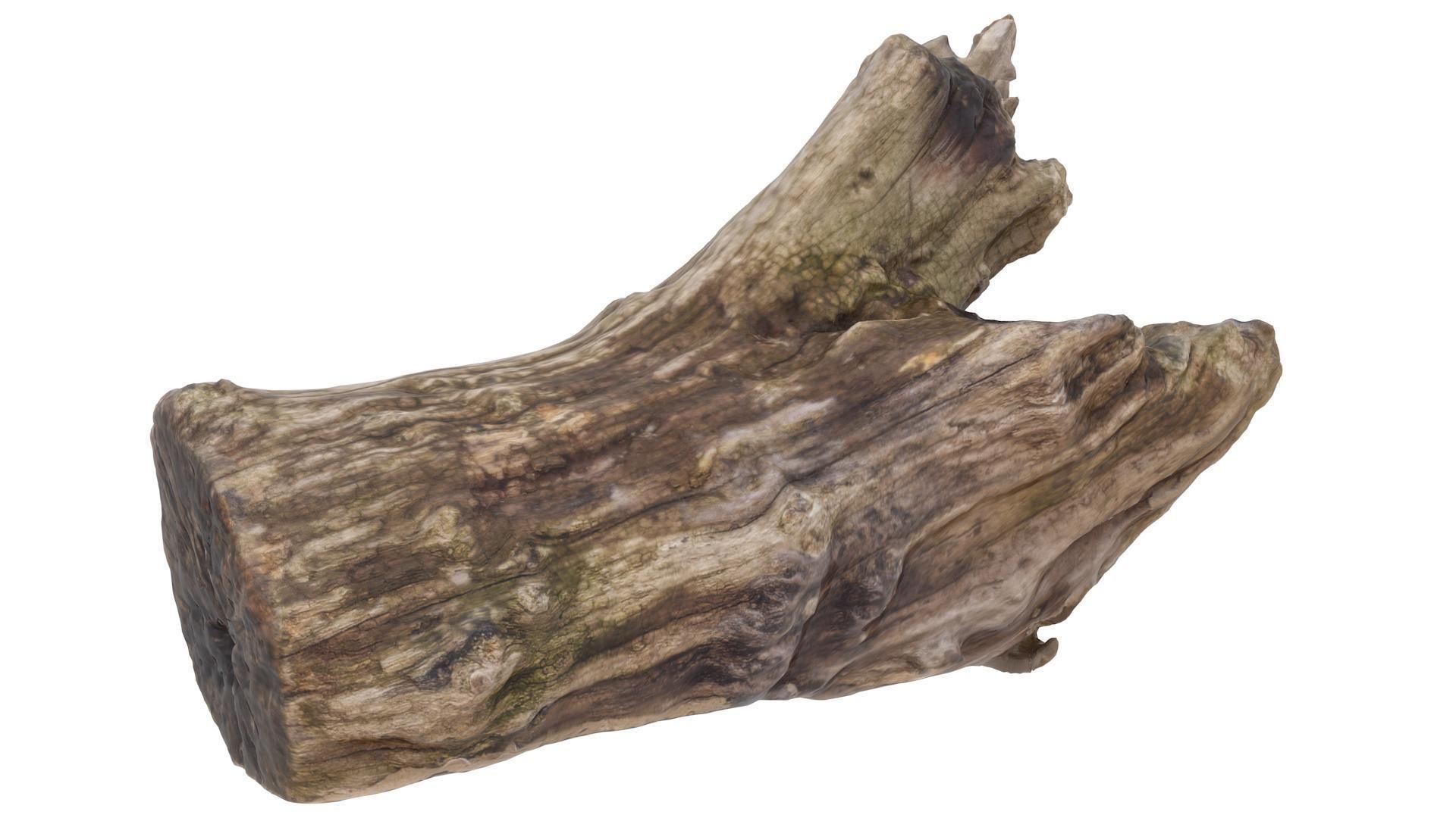 Petrified Wood Stump - High and Low Poly versions Low-poly 3D model_4