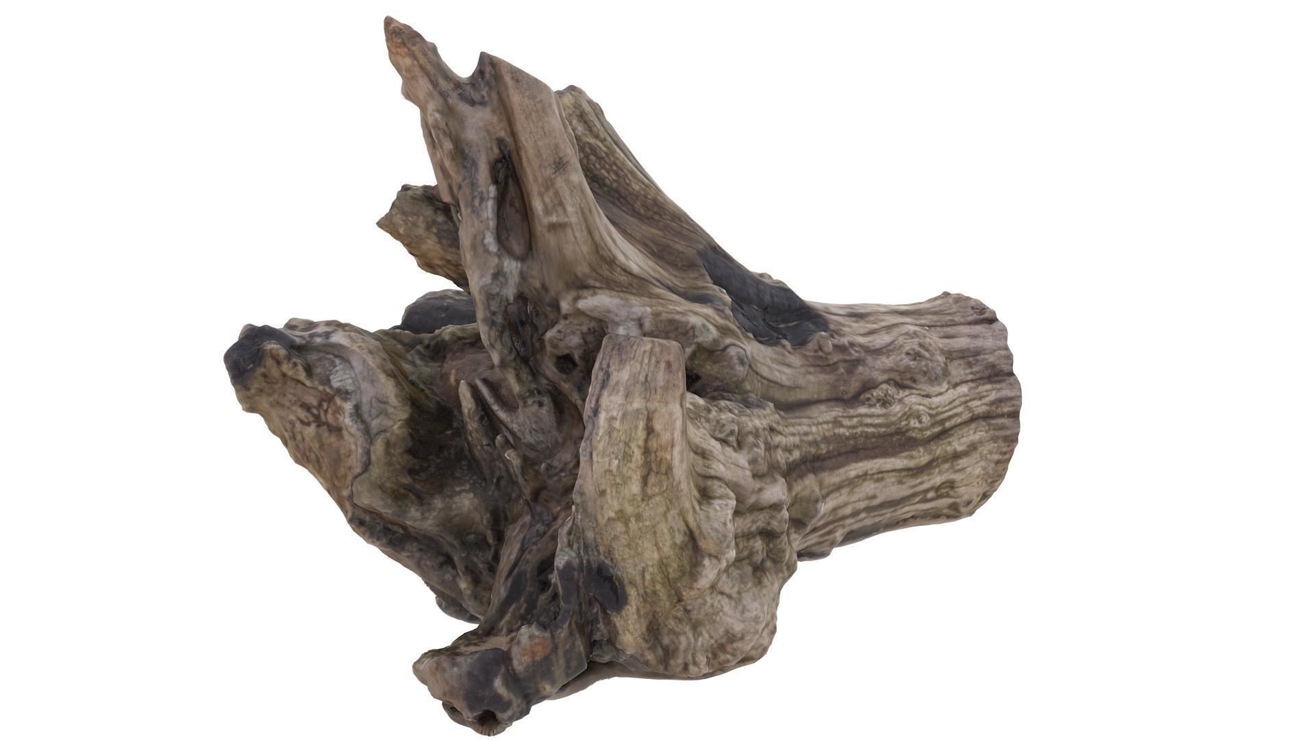 Petrified Wood Stump - High and Low Poly versions Low-poly 3D model_5