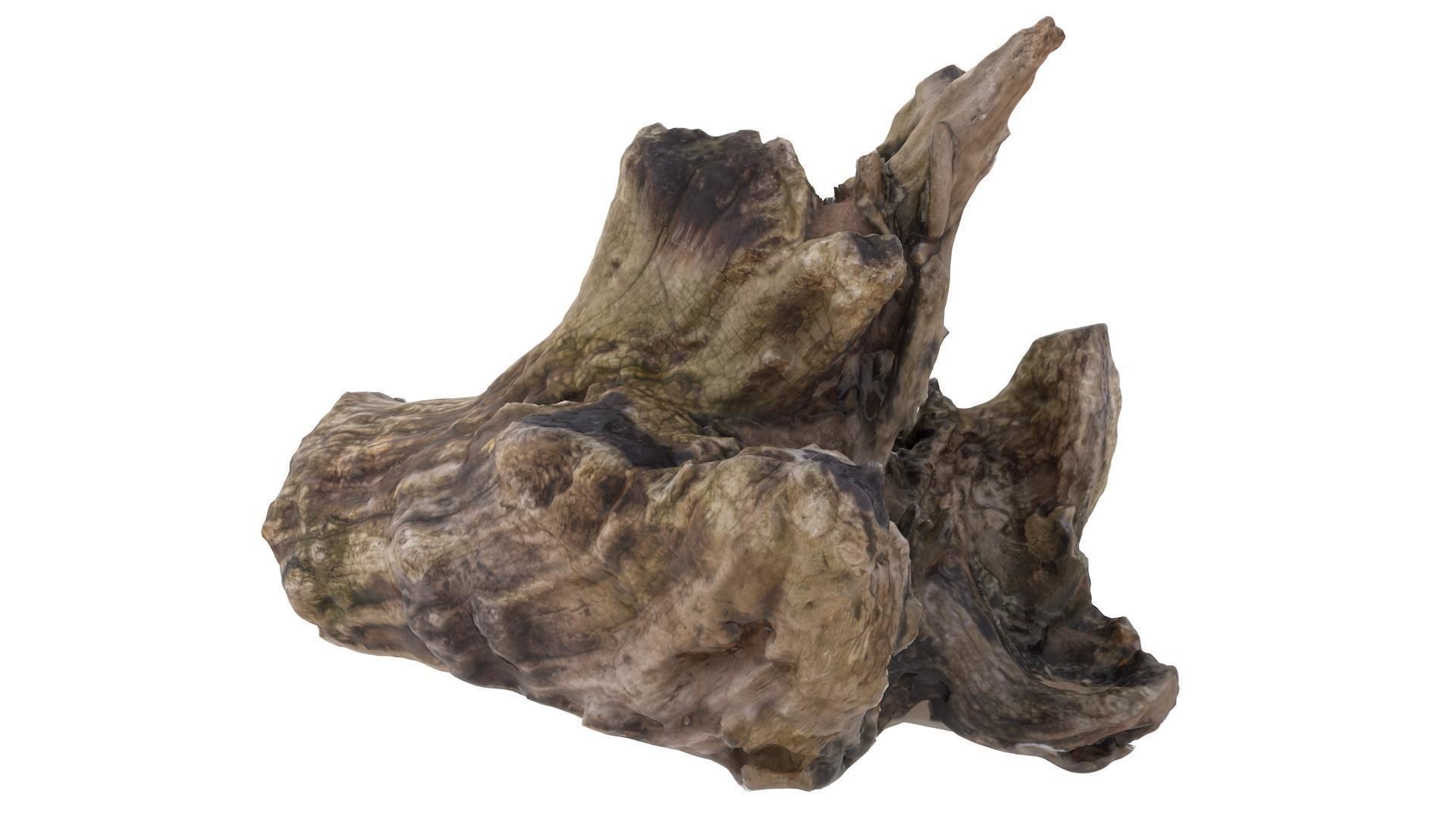 Petrified Wood Stump - High and Low Poly versions Low-poly 3D model_3