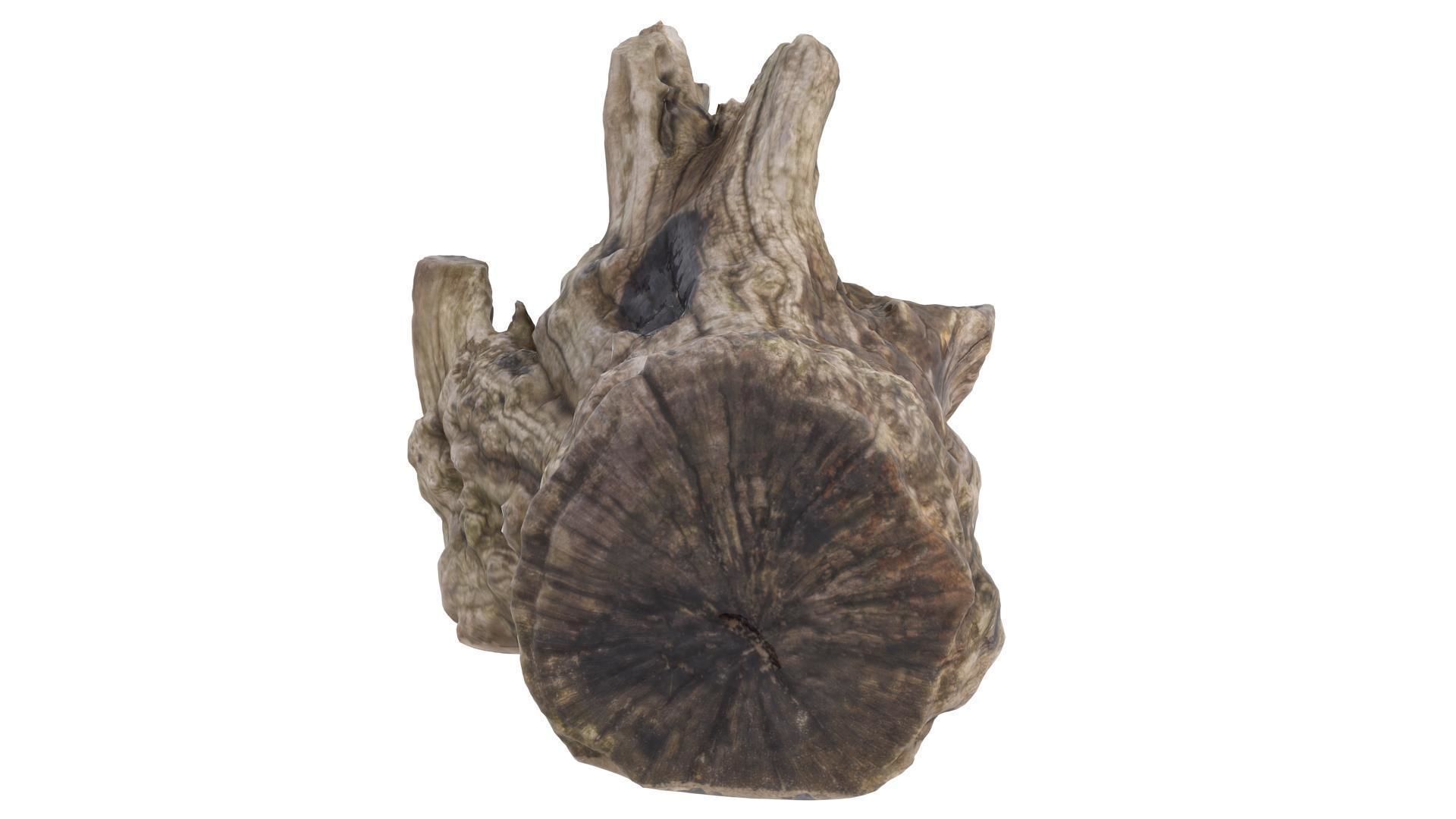 Petrified Wood Stump - High and Low Poly versions Low-poly 3D model_2